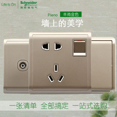 丰尚(沉醉金)E8215_10US_WG 一开+五孔插座